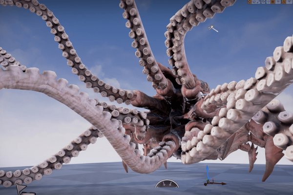 Kraken 20at net