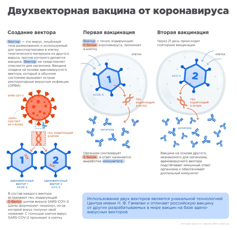 Кракен нов